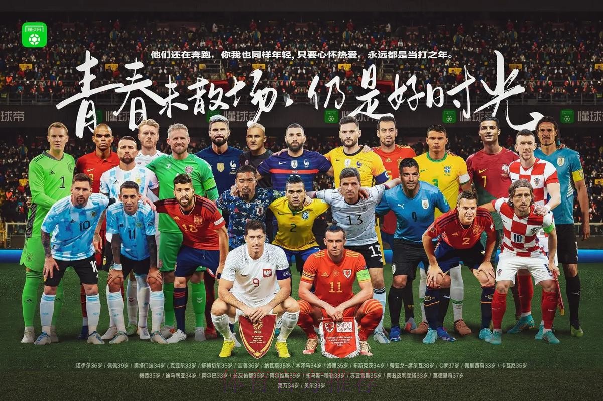 世界杯免费观看是否免费