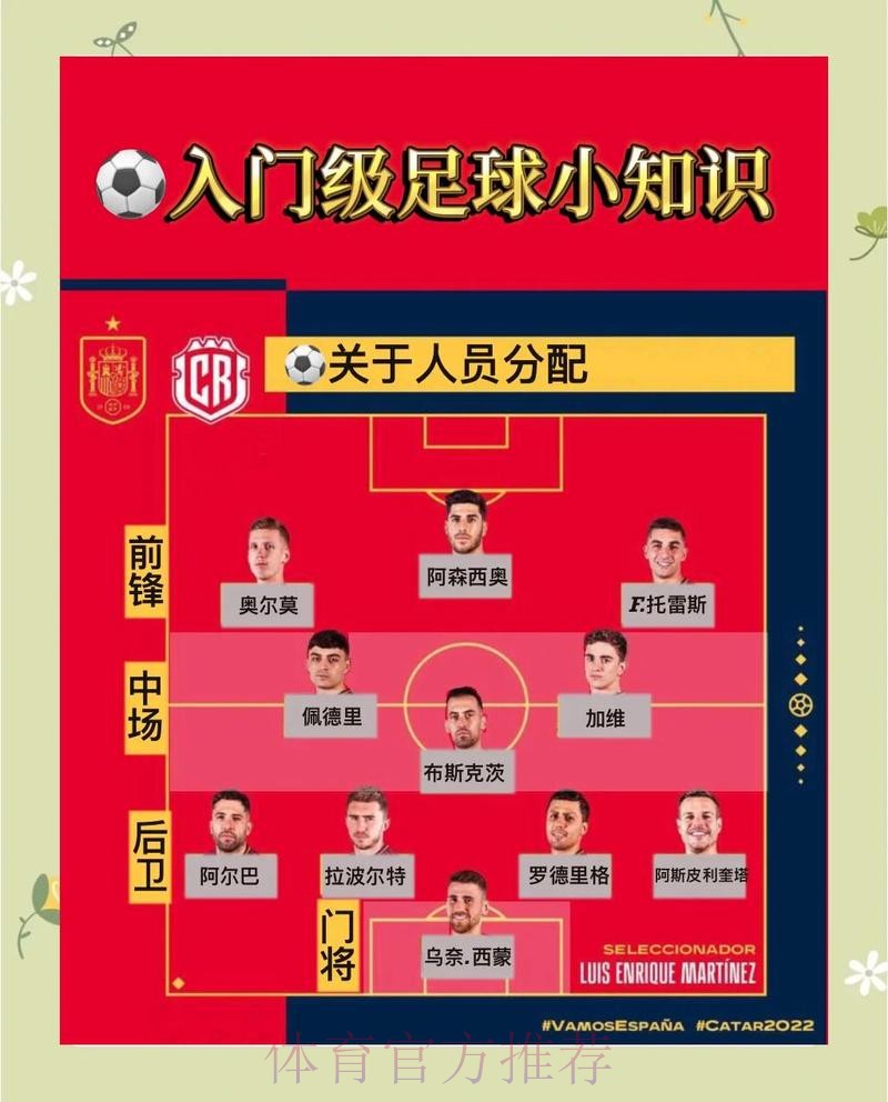 世界杯球队名单规则